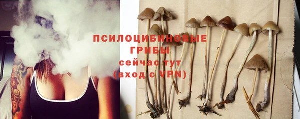 хмурый Кукмор