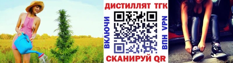 мега вход как найти закладки Иваново Дистиллят ТГК THC oil