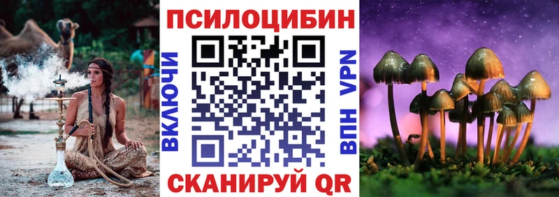 Галлюциногенные грибы Psilocybe Иваново