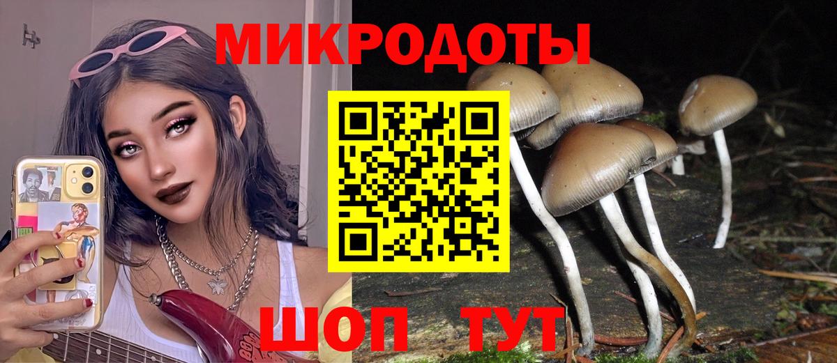 Иваново  Псилоцибиновые грибы GOLDEN TEACHER  Вход с VPN  Псилоцибиновые грибы мицелий 
