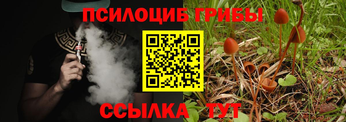 Галлюциногенные грибы MAGIC MUSHROOMS Иваново